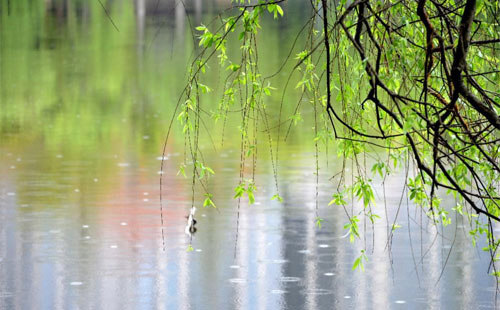 雨中的坚固守护——十全彩钢厂的产品在雨季的应用实践